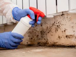 Best Mold Odor Removal Services  in Southeast Arcadia, FL